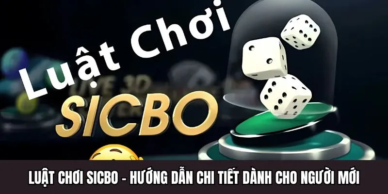 Luật Chơi Sicbo - Hướng Dẫn Chi Tiết Dành Cho Người Mới