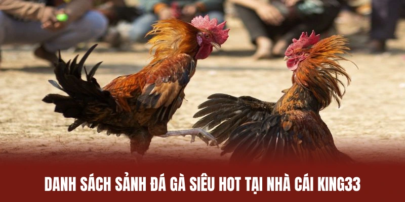 Danh sách sảnh đá gà siêu hot tại nhà cái King33