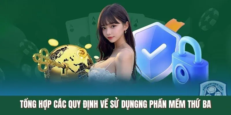 Tổng hợp các quy định về phần mềm thứ ba mới nhất King33
