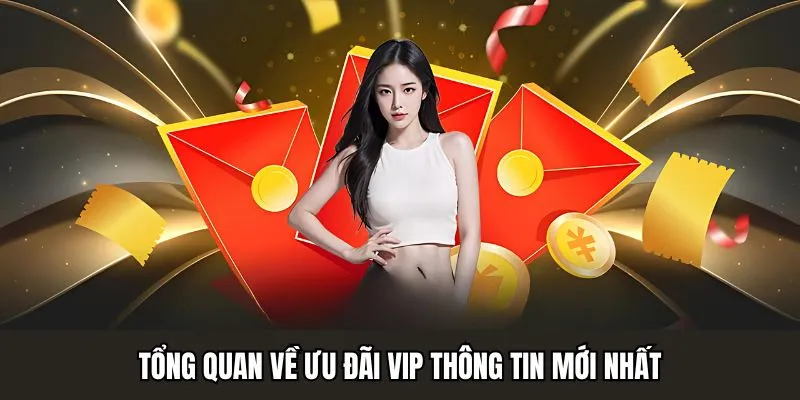 Tổng quan về ưu đãi VIP King33 thông tin mới nhất