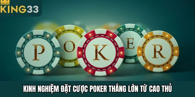 Kinh nghiệm đặt cược poker thắng lớn từ cao thủ